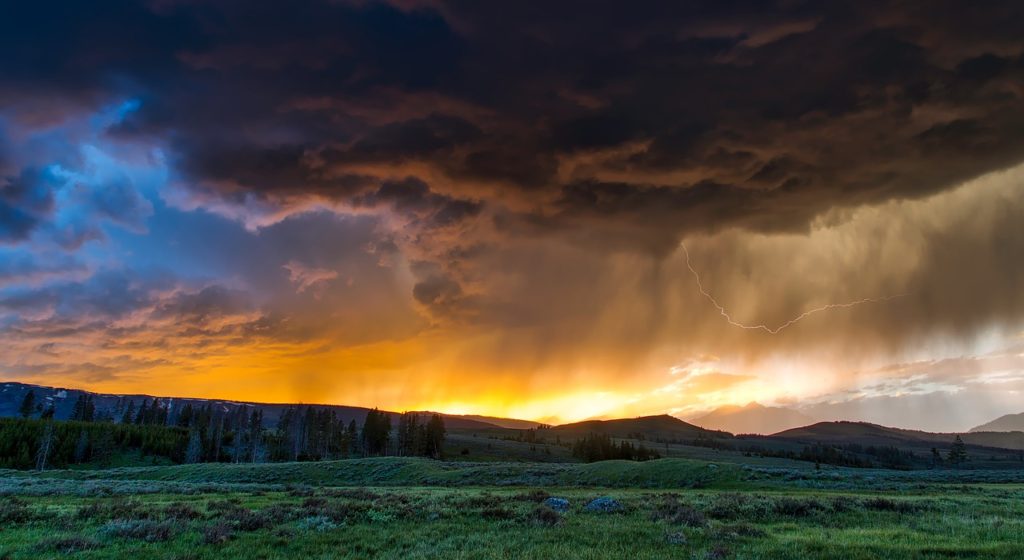 yellowstone, national park, wyoming