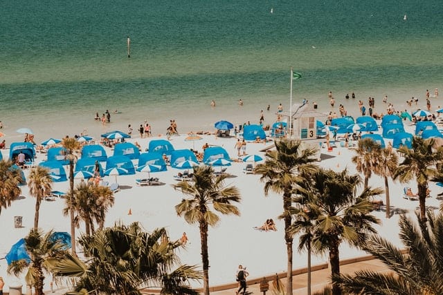 things to do in clearwater beach florida