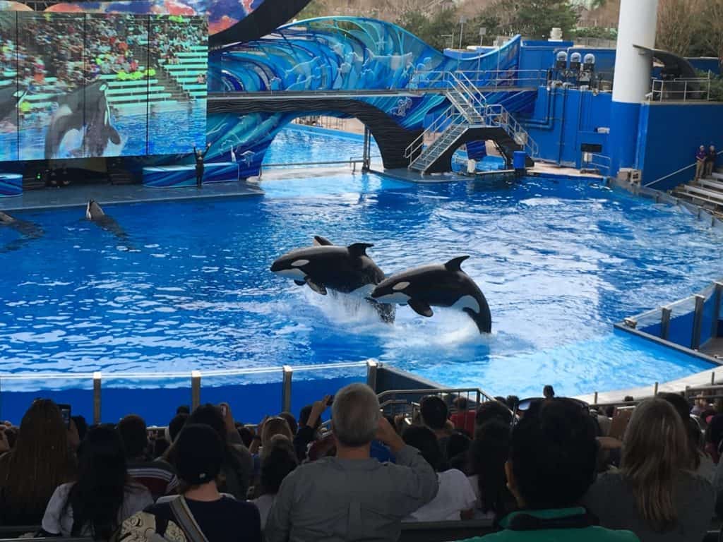 sea-world-orlando-travel-agent