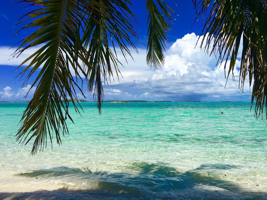 bahamas, beach, caribbean-1720653.jpg